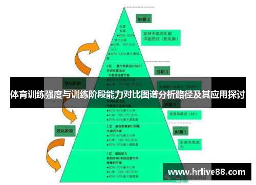 体育训练强度与训练阶段能力对比图谱分析路径及其应用探讨