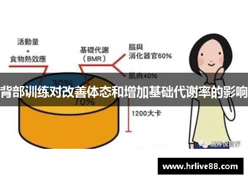背部训练对改善体态和增加基础代谢率的影响