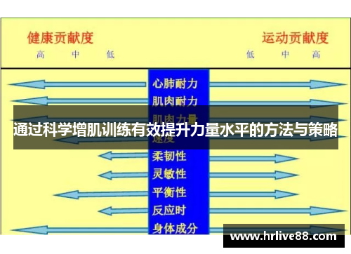 通过科学增肌训练有效提升力量水平的方法与策略